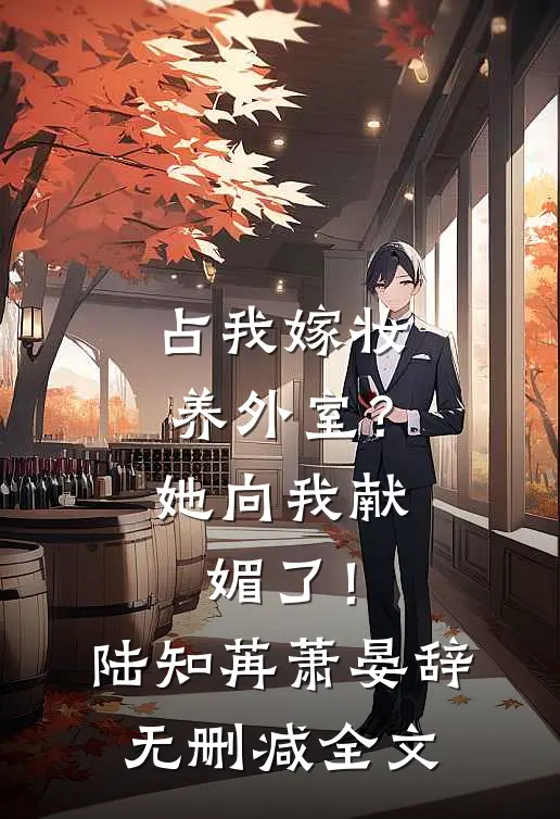 占我嫁妆养外室？她向我献媚了！陆知苒萧晏辞无删减全文