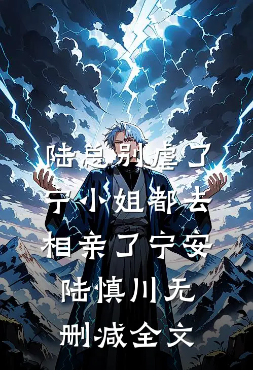 陆总别虐了，宁小姐都去相亲了宁安陆慎川无删减全文