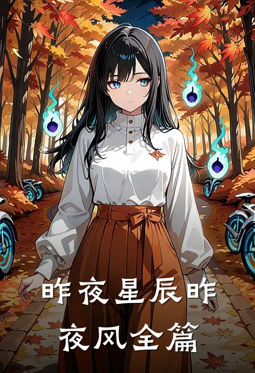 昨夜星辰昨夜风全篇