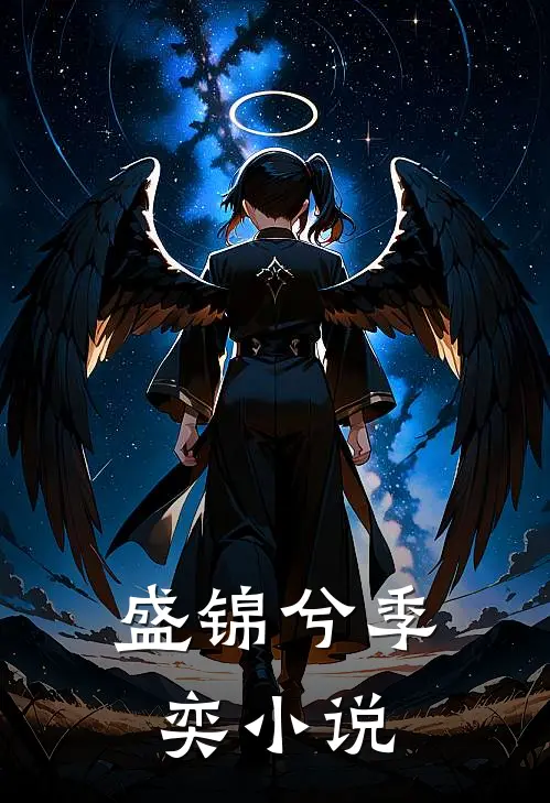 盛锦兮季奕小说
