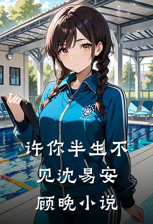 许你半生不见沈易安顾晚小说