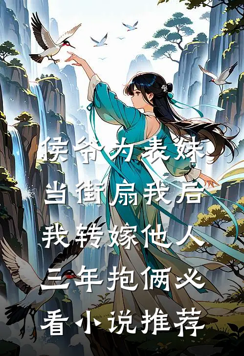 侯爷为表妹当街扇我后，我转嫁他人三年抱俩必看小说推荐