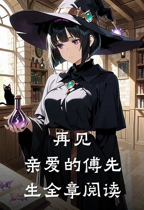 再见，亲爱的傅先生全章阅读