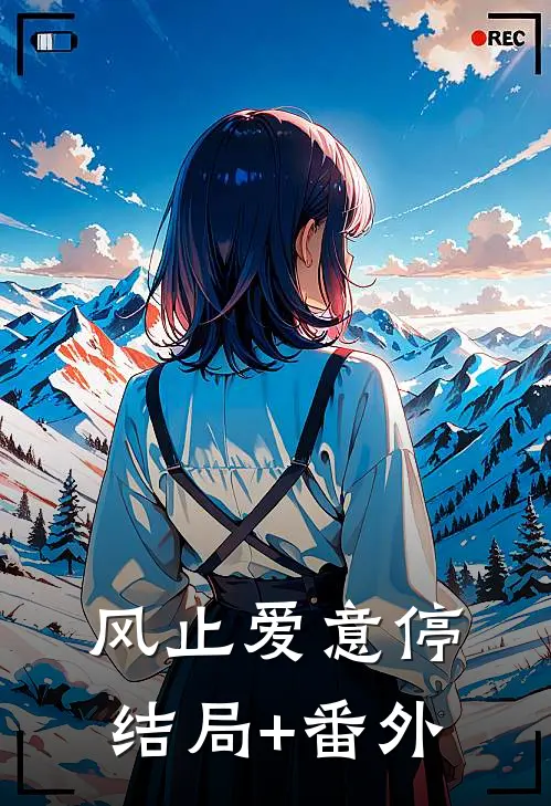 风止爱意停结局+番外