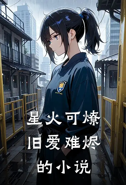 星火可燎，旧爱难烬的小说