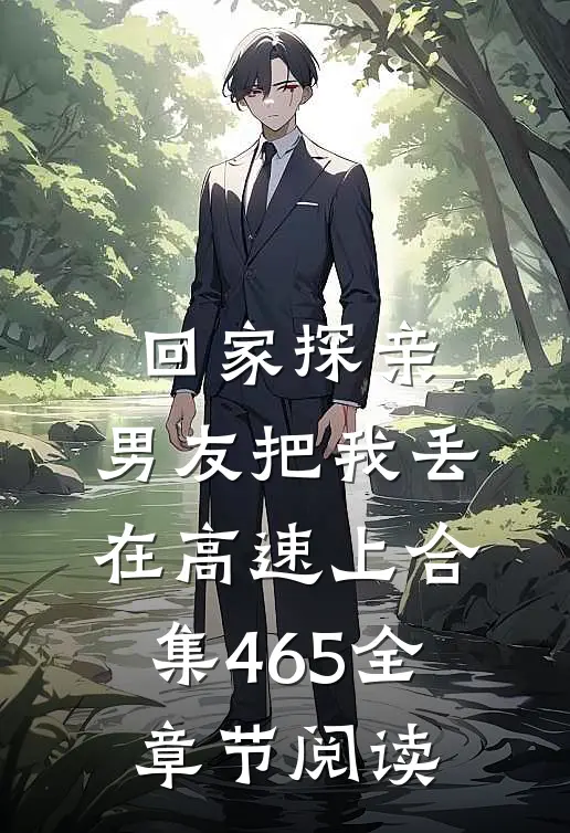 回家探亲，男友把我丢在高速上合集465全章节阅读