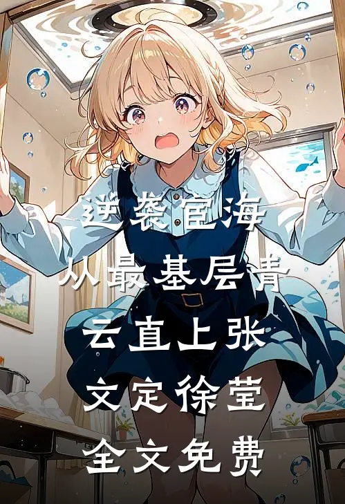 逆袭宦海：从最基层青云直上张文定徐莹全文免费