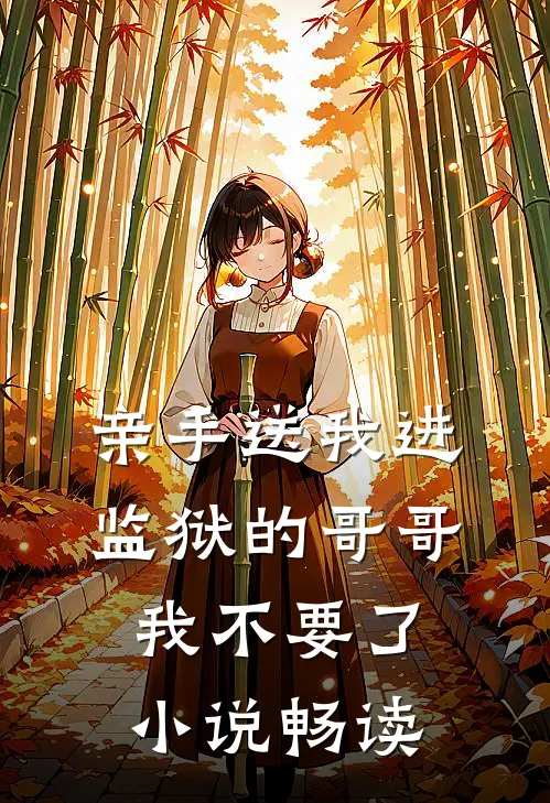 亲手送我进监狱的哥哥，我不要了小说畅读
