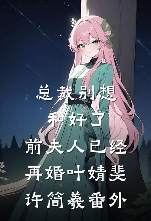 总裁别想和好了，前夫人已经再婚叶婧斐许简羲番外
