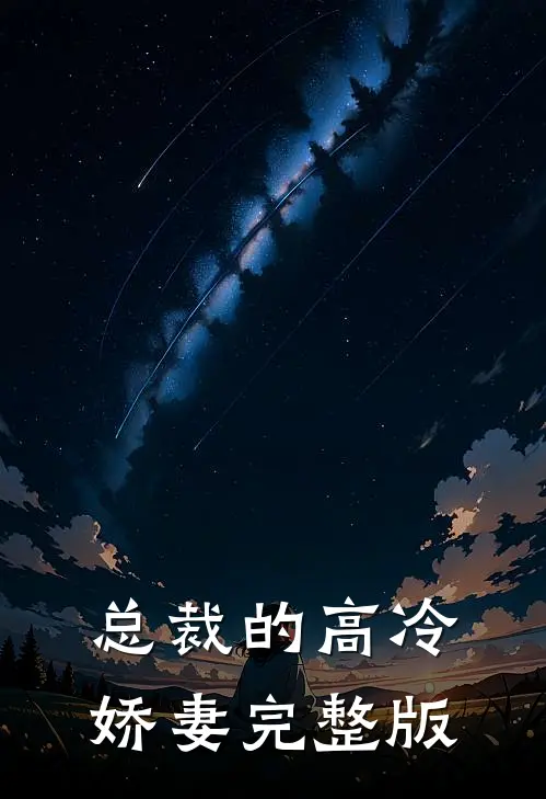 总裁的高冷娇妻完整版