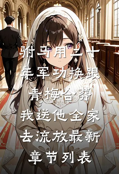驸马用二十年军功换跟青梅合葬，我送他全家去流放最新章节列表