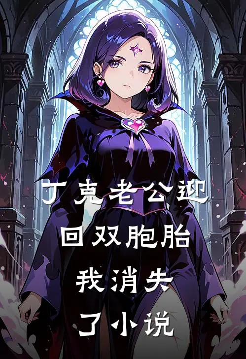 丁克老公迎回双胞胎，我消失了小说