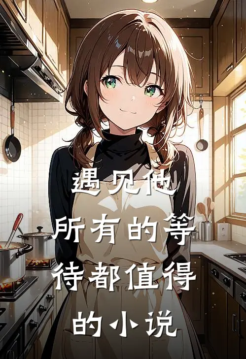 遇见他，所有的等待都值得的小说