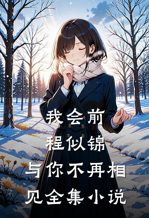 我会前程似锦，与你不再相见全集小说