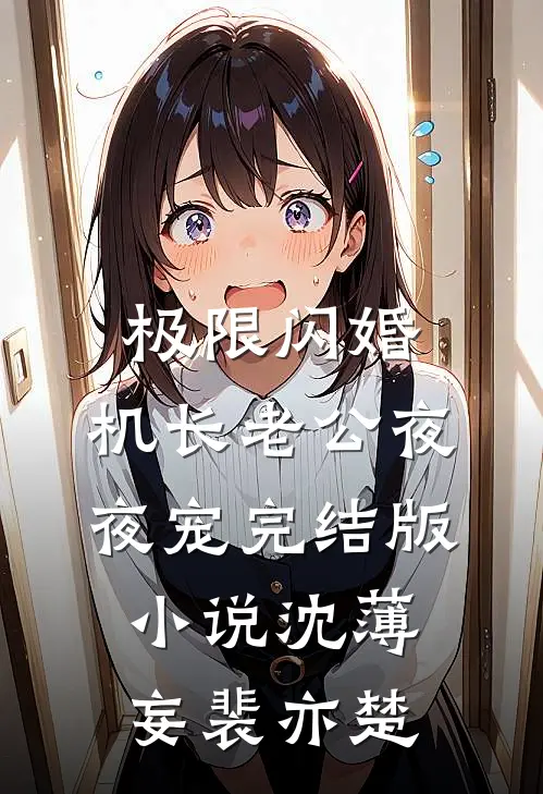 极限闪婚：机长老公夜夜宠完结版小说沈薄妄裴亦楚