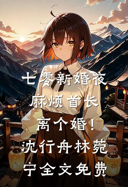 七零新婚夜，麻烦首长离个婚！沈行舟林菀宁全文免费