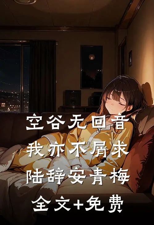 空谷无回音，我亦不屑求陆辞安青梅全文+免费