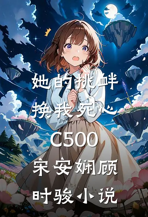 她的挑衅，换我死心C500宋安娴顾时骏小说