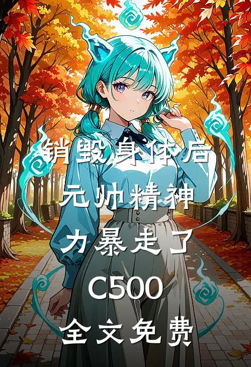 销毁身体后，元帅精神力暴走了C500全文免费