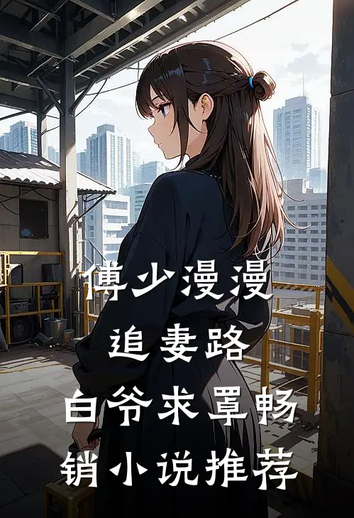 傅少漫漫追妻路：白爷求罩畅销小说推荐