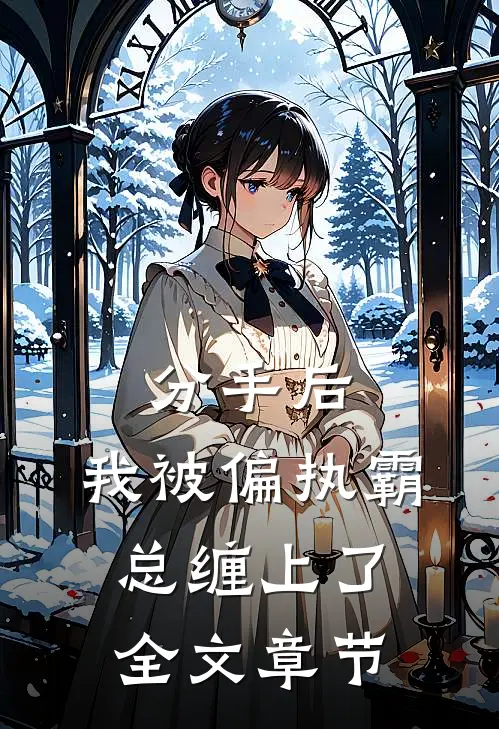 分手后，我被偏执霸总缠上了全文章节