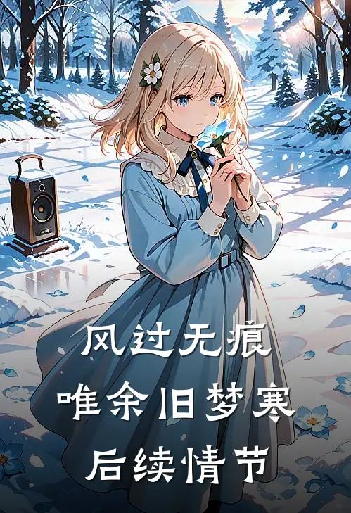 风过无痕，唯余旧梦寒后续情节