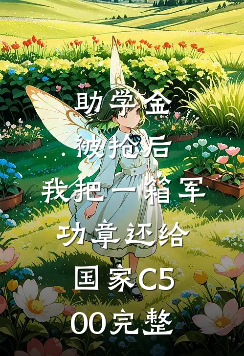 助学金被抢后，我把一箱军功章还给国家C500完整