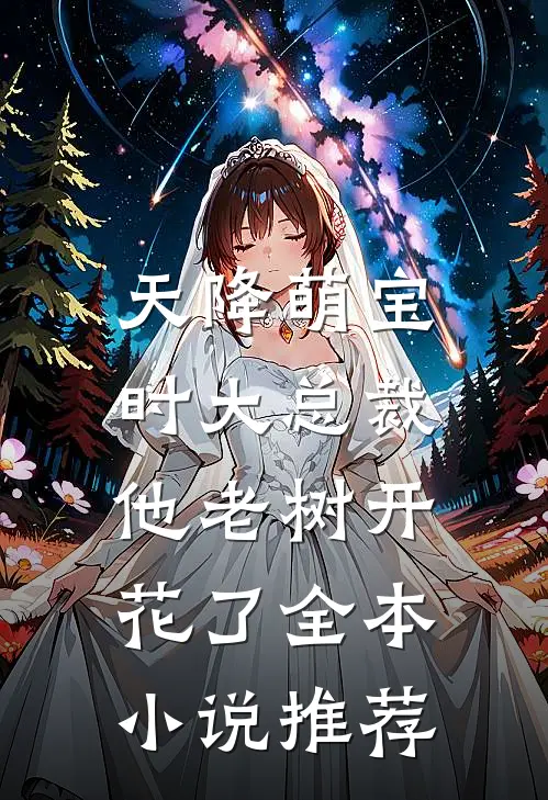 天降萌宝，时大总裁他老树开花了全本小说推荐