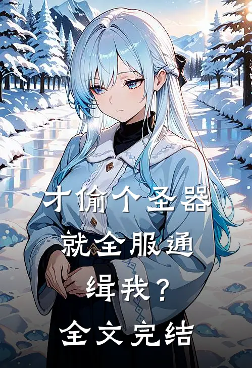 才偷个圣器，就全服通缉我？全文完结