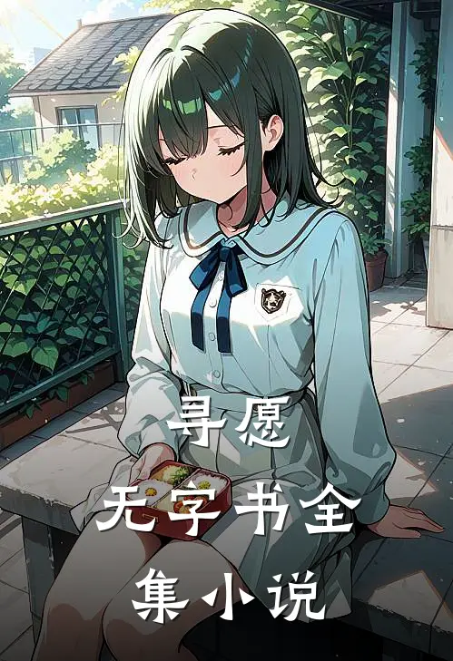 寻愿：无字书全集小说