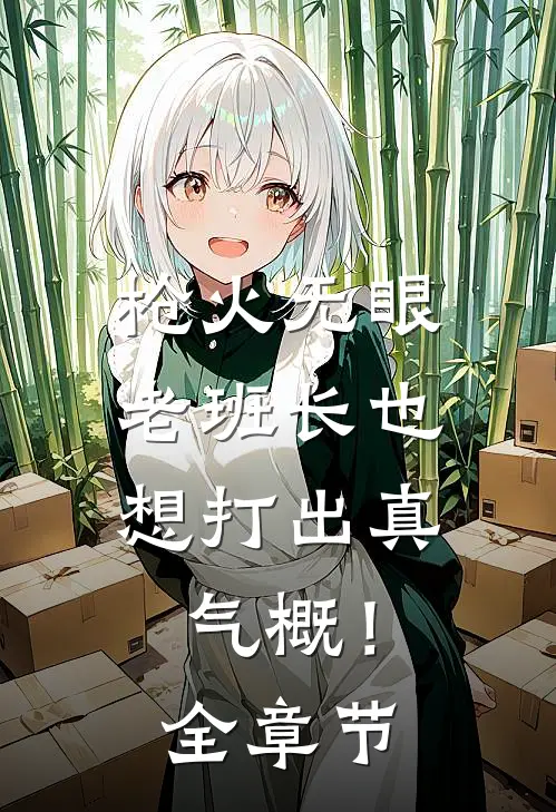 枪火无眼，老班长也想打出真气概！全章节
