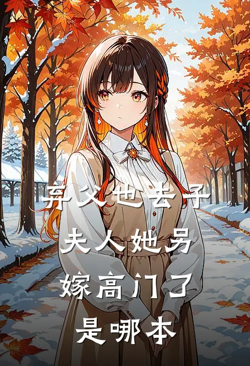 弃父也去子，夫人她另嫁高门了是哪本