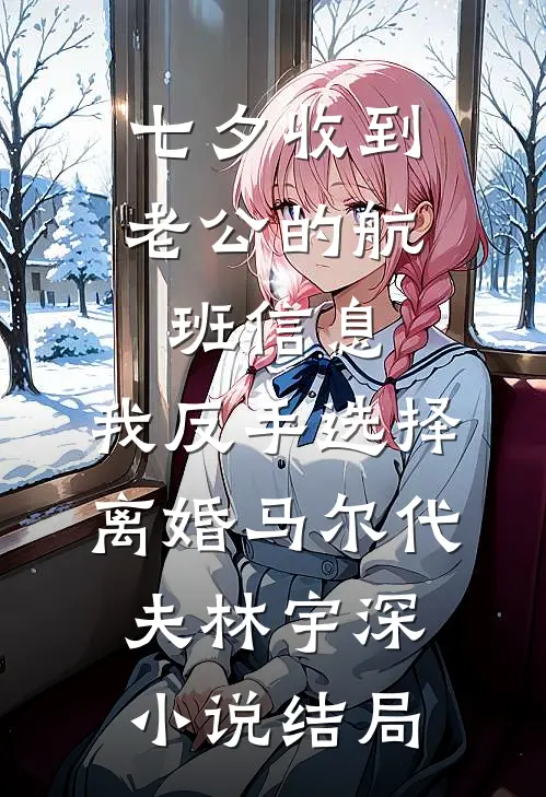 七夕收到老公的航班信息，我反手选择离婚马尔代夫林宇深小说结局