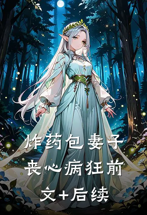 炸药包妻子丧心病狂前文+后续