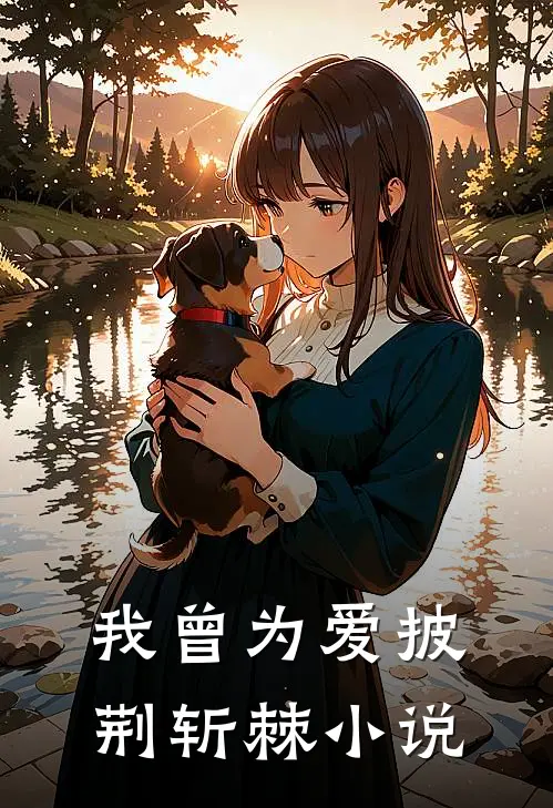 我曾为爱披荆斩棘小说
