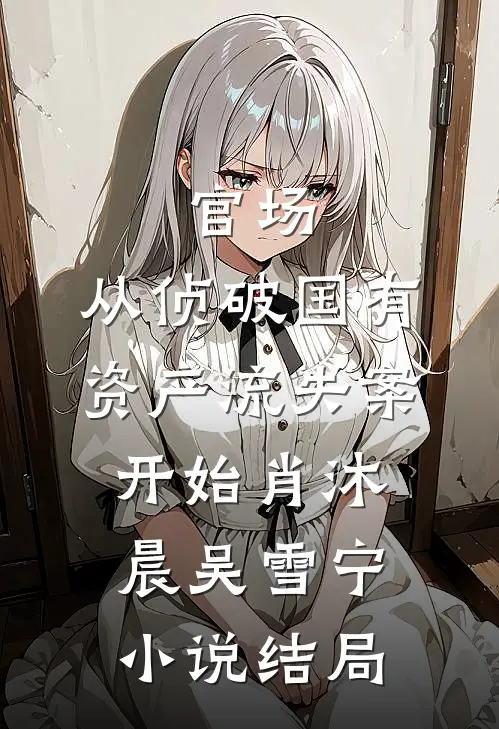 官场：从侦破国有资产流失案开始肖沐晨吴雪宁小说结局