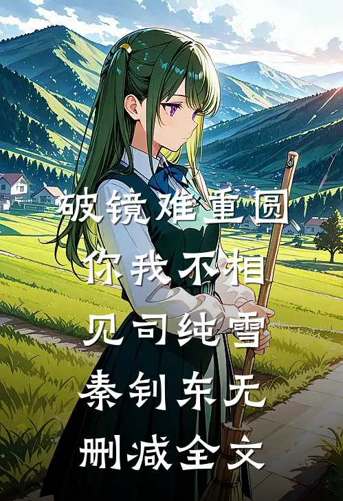 破镜难重圆，你我不相见司纯雪秦钊东无删减全文