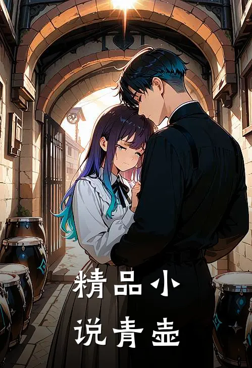 精品小说青壶