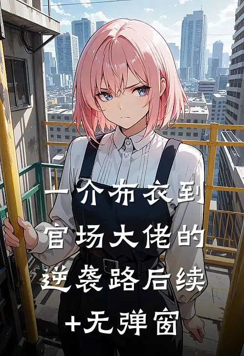 一介布衣到官场大佬的逆袭路后续+无弹窗