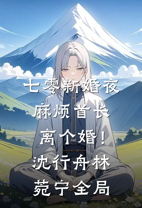 七零新婚夜，麻烦首长离个婚！沈行舟林菀宁全局