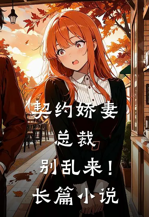 契约娇妻：总裁，别乱来！长篇小说