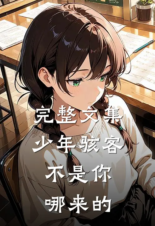 完整文集少年骇客：不是你哪来的