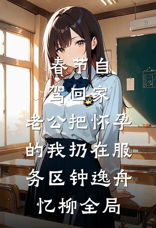 春节自驾回家，老公把怀孕的我扔在服务区钟逸舟忆柳全局