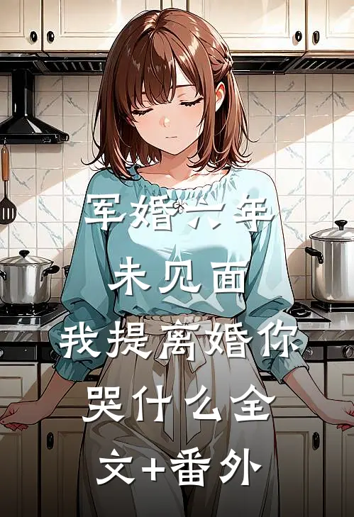 军婚六年未见面，我提离婚你哭什么全文+番外