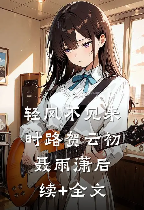 轻风不见来时路贺云初聂雨潇后续+全文