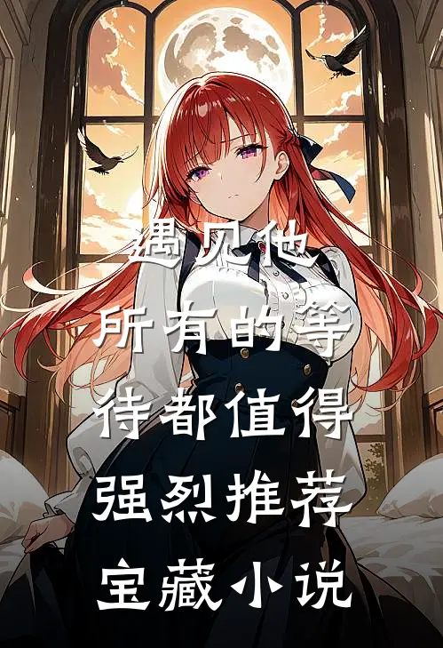 遇见他，所有的等待都值得强烈推荐宝藏小说