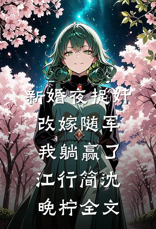 新婚夜捉奸，改嫁随军我躺赢了江行简沈晚柠全文