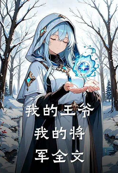 我的王爷，我的将军全文