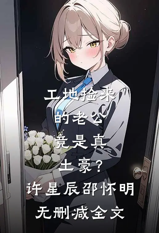 工地捡来的老公，竟是真土豪？许星辰邵怀明无删减全文