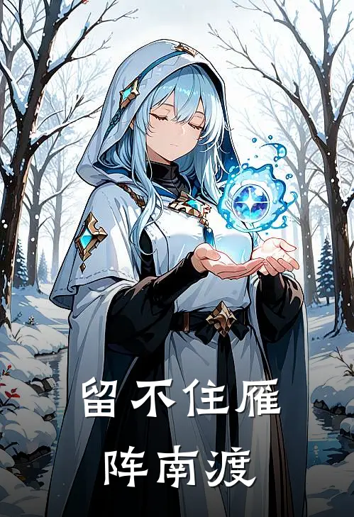 留不住雁阵南渡